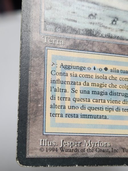 画像4: イタリア語 《Tundra》[FBB] HP Inked (4)