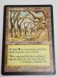 画像1: 《ガイアの揺籃の地/Gaea's Cradle》[USG] MP (1)