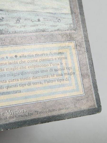 画像5: イタリア語 《Tundra》[FBB] HP Inked (5)