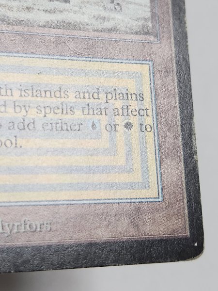 画像5: 《Tundra》[LEB] HP (5)