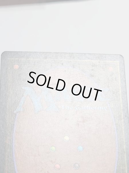 画像7: フランス語《Underground Sea》[FBB] MP (7)