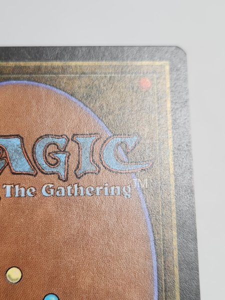 画像10: 《動く死体/Animate Dead》[SummerMagic] NM (10)