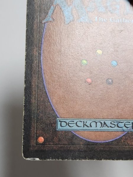 画像8: 《Tundra》[LEB] HP (8)