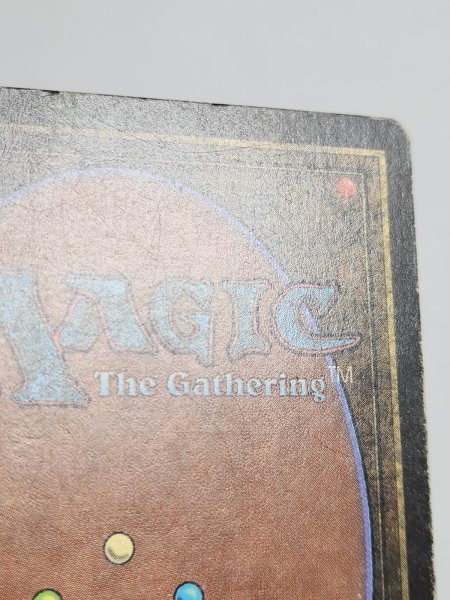 画像10: 《Tundra》[LEB] HP (10)