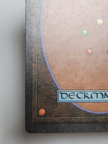 画像8: 《動く死体/Animate Dead》[SummerMagic] NM (8)