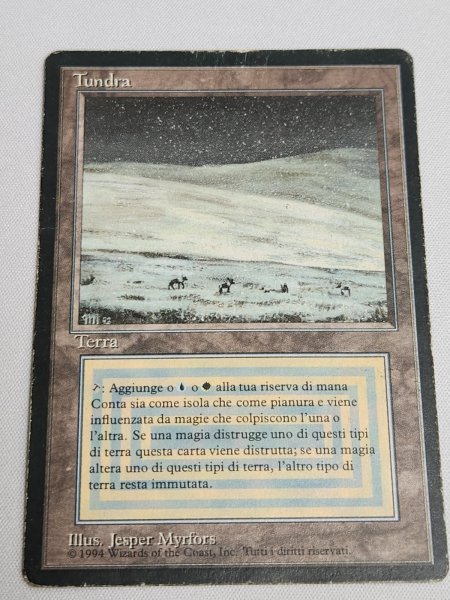 画像1: イタリア語 《Tundra》[FBB] HP Inked (1)