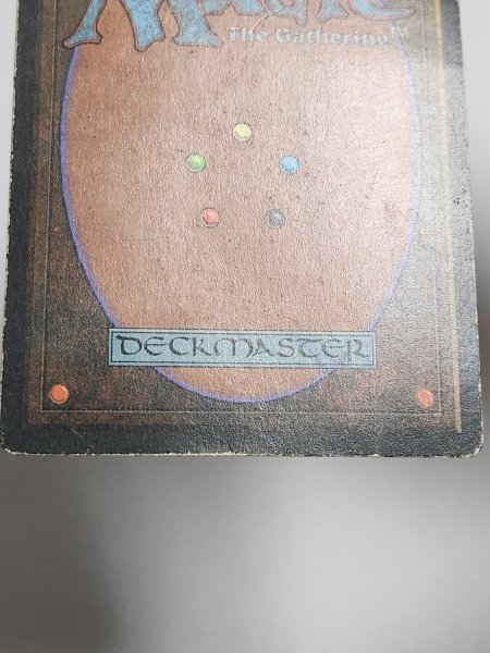 画像8: イタリア語 《Tundra》[FBB] HP Inked (8)