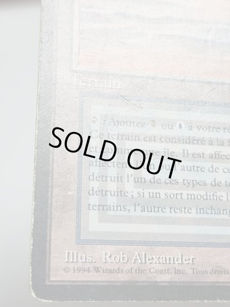 画像4: フランス語《Underground Sea》[FBB] HP Inked (4)