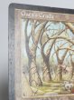 画像5: 《ガイアの揺籃の地/Gaea's Cradle》[USG] MP (5)