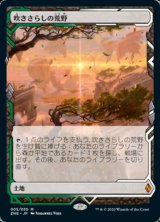 沸騰する小湖　湿地の干潟　フェッチランド2枚　英語 Foil】《沸騰する小湖/Scalding Tarn》[ZEN] 土地R | 日本最大級
