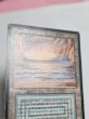 画像3: イタリア語《Underground Sea》[FBB]  HP (3)