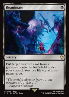 黒 - MTG専門店 Initiative