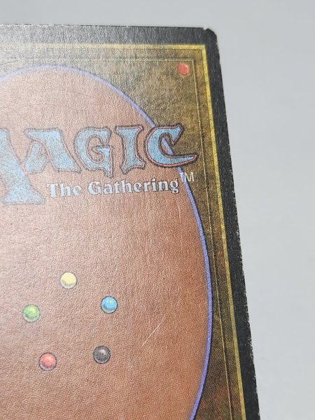 画像4: 《Tropical Island》 3ED MP (4)