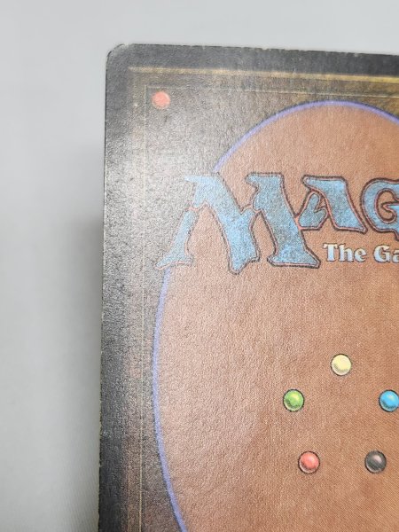 画像4: 《Tropical Island》 3ED MP (4)