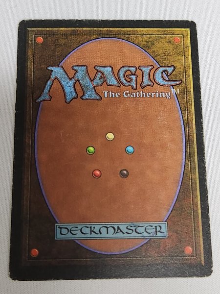 画像2: 《Tropical Island》 3ED MP (2)