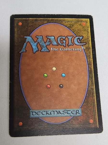 画像2: 《Tropical Island》 3ED MP (2)