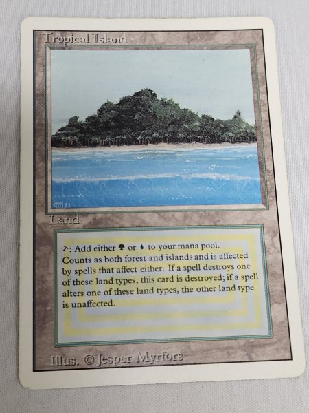 画像1: 《Tropical Island》 3ED MP (1)