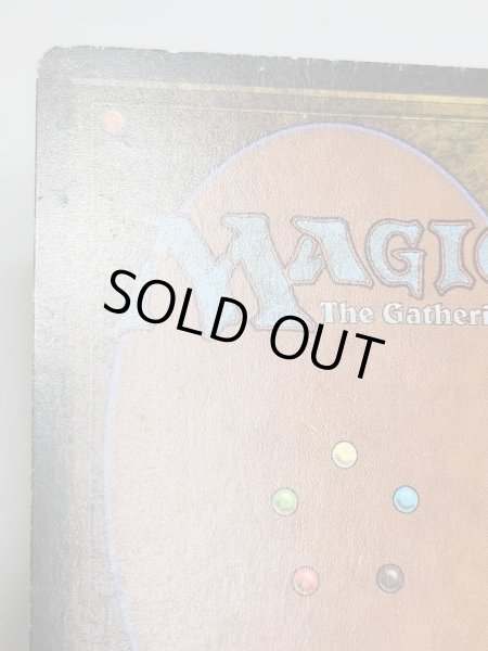 画像6: 《Tropical Island》 3ED HP (6)