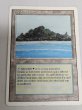 画像1: 《Tropical Island》 3ED HP (1)