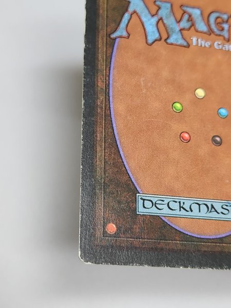 画像5: 《Tropical Island》 3ED MP (5)