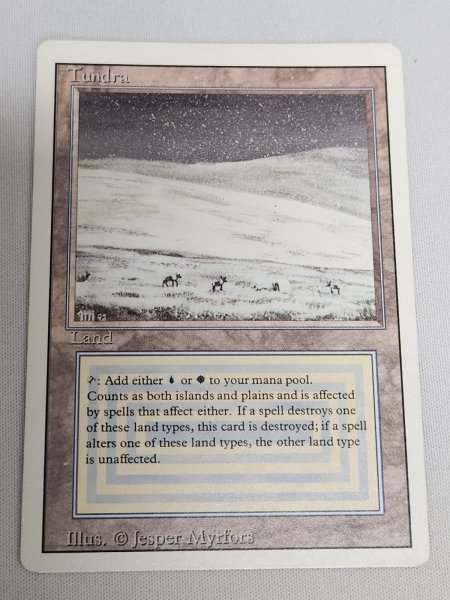 画像1: 《Tundra》[3ED] MP インク (1)