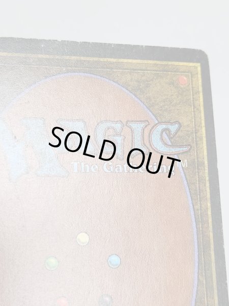 画像7: 《Tropical Island》 3ED HP (7)