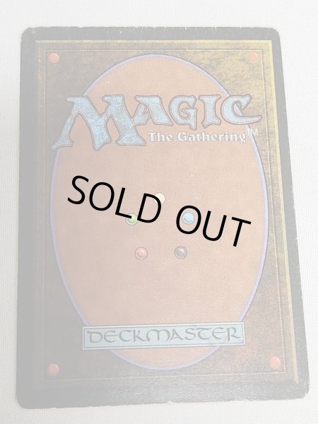 画像2: 《Tropical Island》 3ED HP (2)