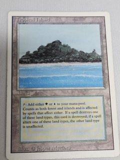 デュアルランド/Dual Land - MTG専門店 Initiative