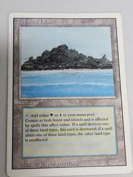 画像1: 《Tropical Island》 3ED MP (1)
