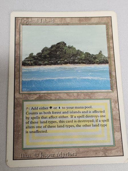 画像1: 《Tropical Island》 3ED HP (1)
