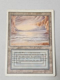 デュアルランド/Dual Land - MTG専門店 Initiative