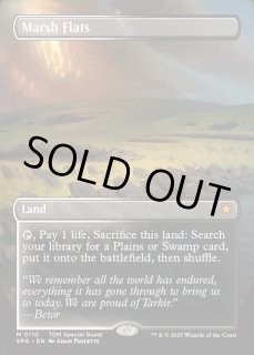 フェッチランド(全商品) - MTG専門店 Initiative
