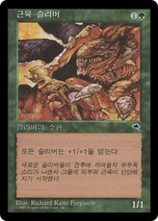 他言語コーナー - MTG専門店 Initiative