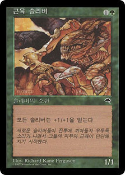 画像1: 韓国語《筋肉スリヴァー/Muscle Sliver》[TMP]  (1)