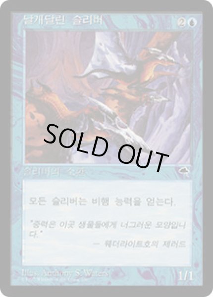 画像1: 韓国語《有翼スリヴァー/Winged Sliver》[TMP]  (1)