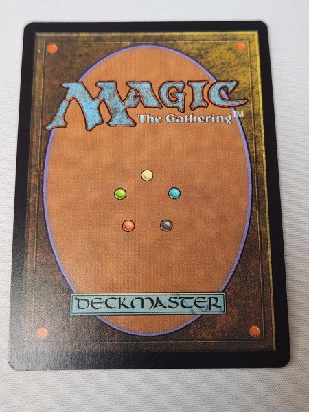 画像2: 【Foil】《吹きさらしの荒野/Windswept Heath》[EXP] NM- (2)