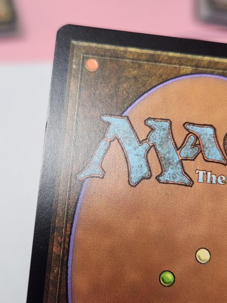 画像3: 【Foil】《霧深い雨林/Misty Rainforest》[EXP] NM- (3)