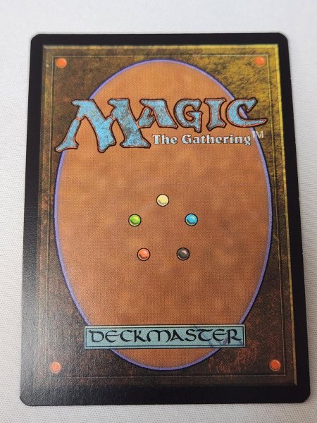 画像2: 【Foil】《溢れかえる岸辺/Flooded Strand》[EXP] NM- (2)