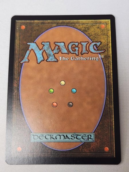 画像2: 【Foil】《霧深い雨林/Misty Rainforest》[EXP] NM- (2)