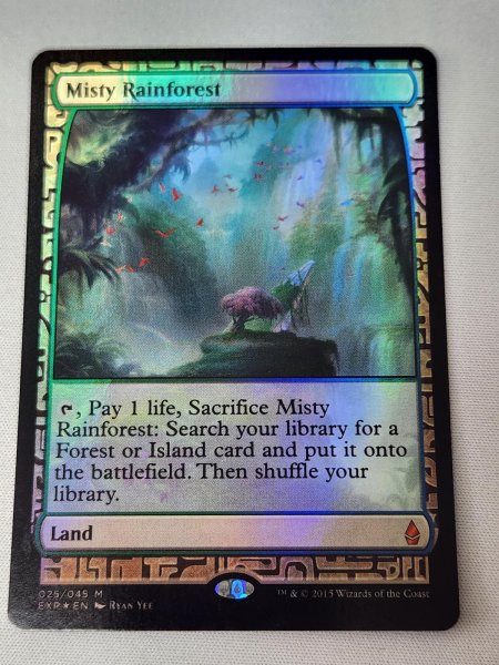 画像1: 【Foil】《霧深い雨林/Misty Rainforest》[EXP] NM- (1)