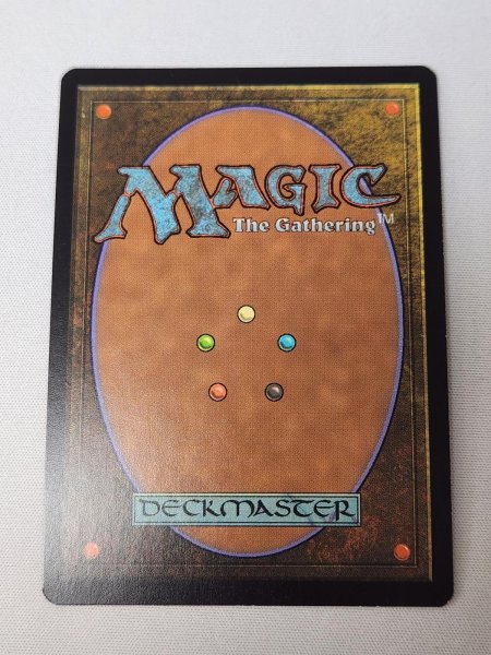 画像2: 【Foil】《溢れかえる岸辺/Flooded Strand》[EXP] NM- (2)