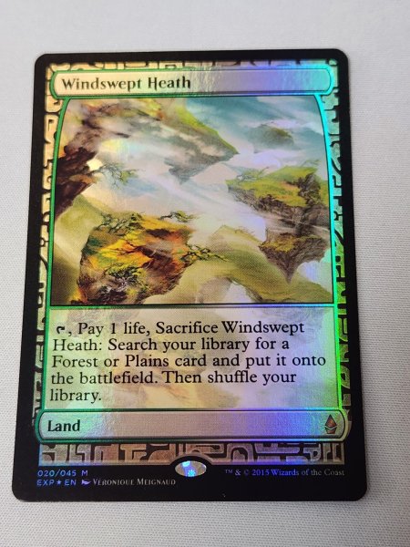 画像1: 【Foil】《吹きさらしの荒野/Windswept Heath》[EXP] NM- (1)