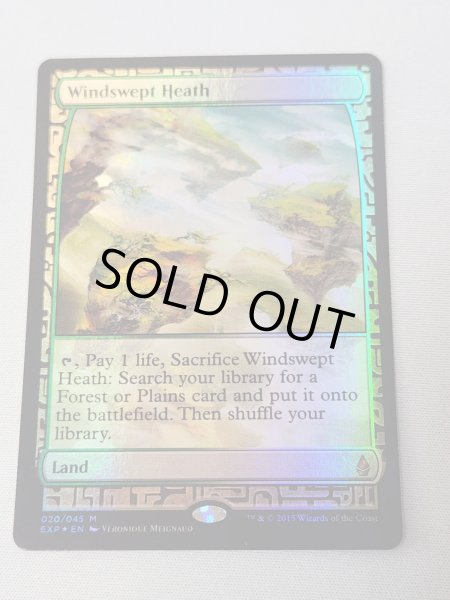 画像1: 【Foil】《吹きさらしの荒野/Windswept Heath》[EXP] NM- (1)