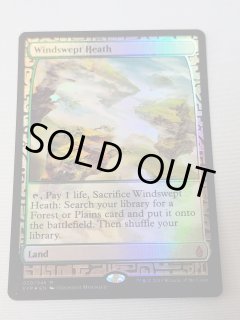 フェッチランド - MTG専門店 Initiative
