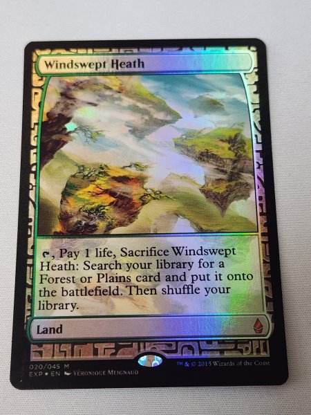 画像1: 【Foil】《吹きさらしの荒野/Windswept Heath》[EXP] NM- (1)