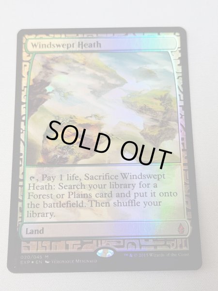 画像1: 【Foil】《吹きさらしの荒野/Windswept Heath》[EXP] NM- (1)