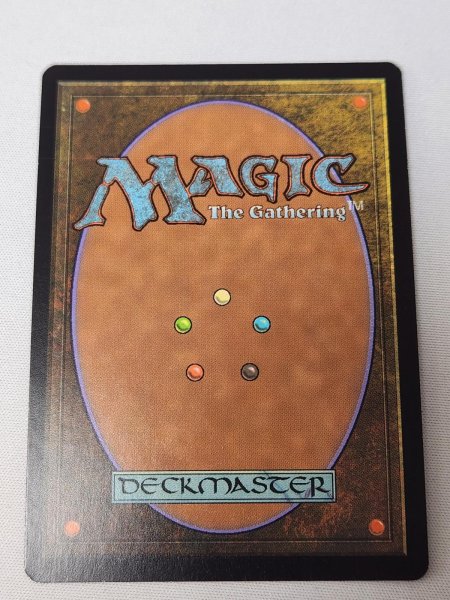 画像2: 【Foil】《吹きさらしの荒野/Windswept Heath》[EXP] NM- (2)