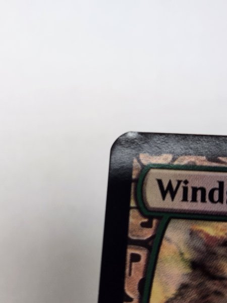 画像3: 【Foil】《吹きさらしの荒野/Windswept Heath》[EXP] NM- (3)