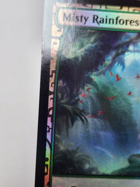 画像3: 【Foil】《霧深い雨林/Misty Rainforest》[EXP] NM- (3)