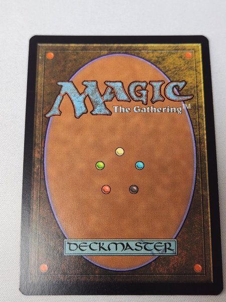 画像2: 【Foil】《霧深い雨林/Misty Rainforest》[EXP] NM- (2)